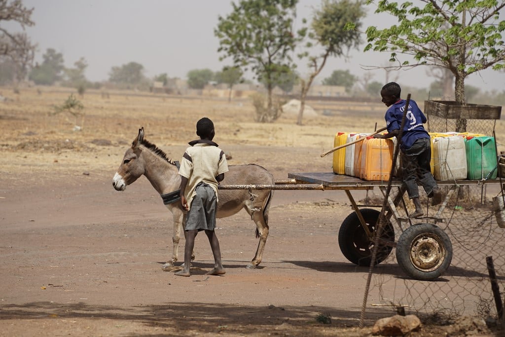 Charrette transportant de l'eau. Sénégal