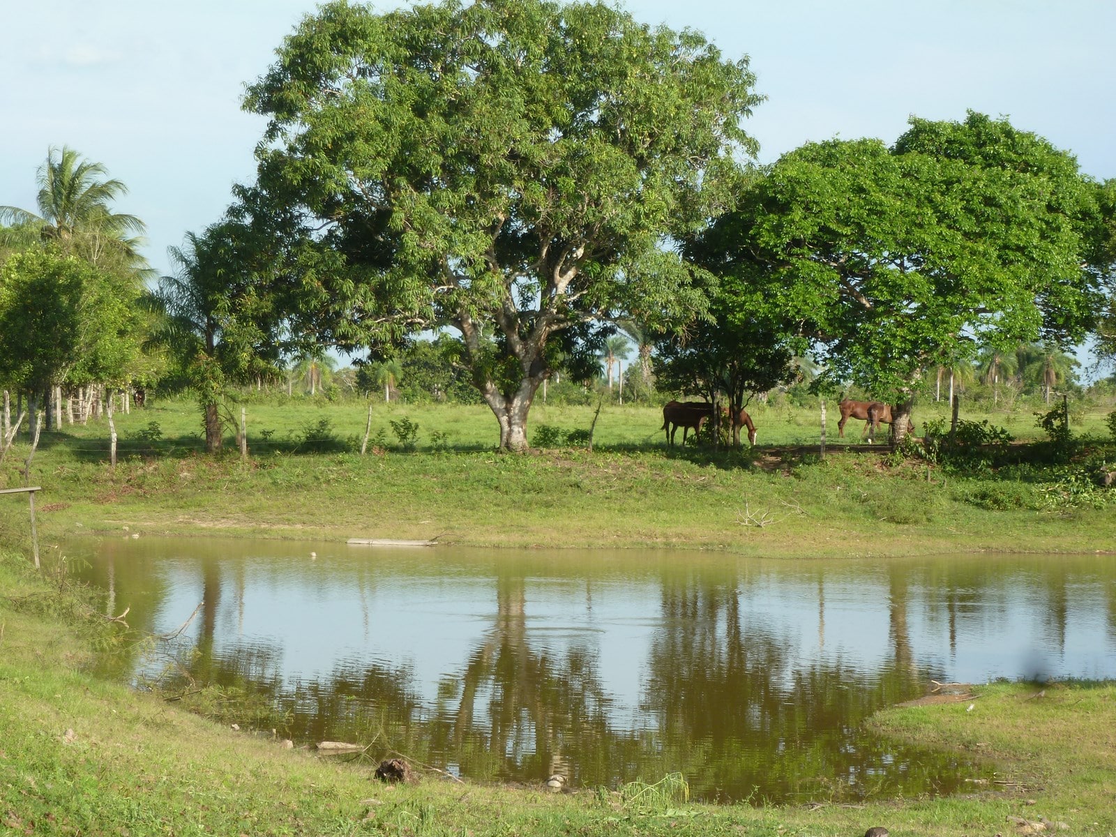 Lire la suite à propos de l’article BOLIVIE, département du Beni : Projet d’approvisionnement en eau potable à Santos Reyes