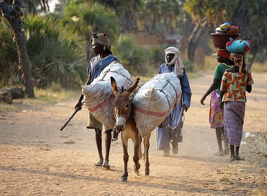 WATA™ : Technologie pour désinfecter l'eau au Tchad