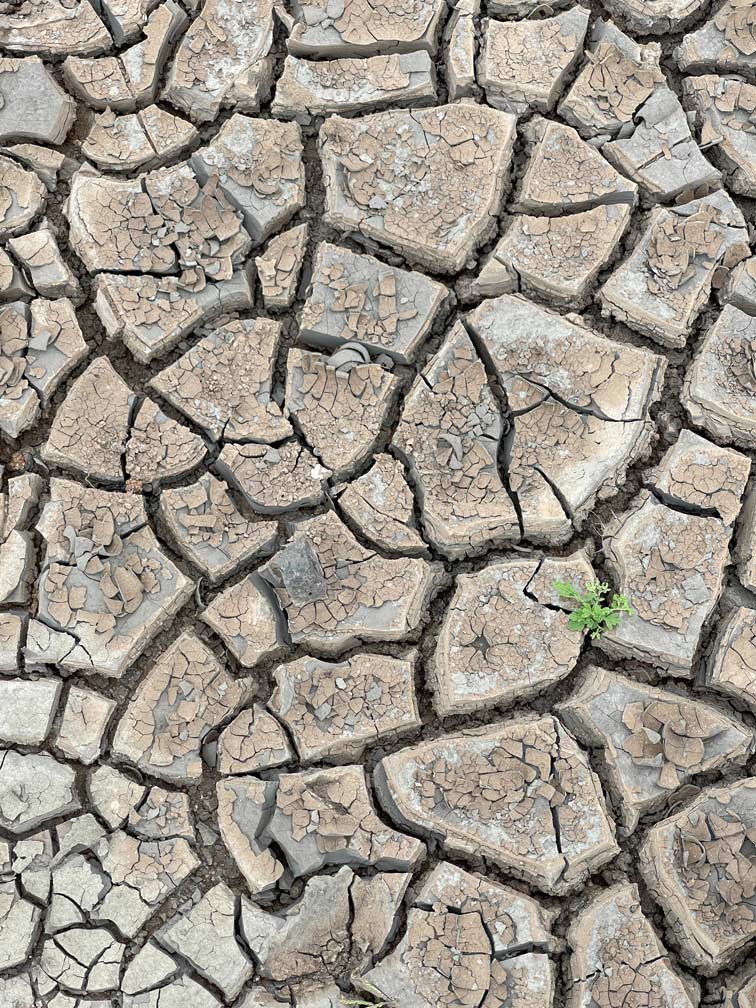 Terre asséchée suite à la crise de l'eau