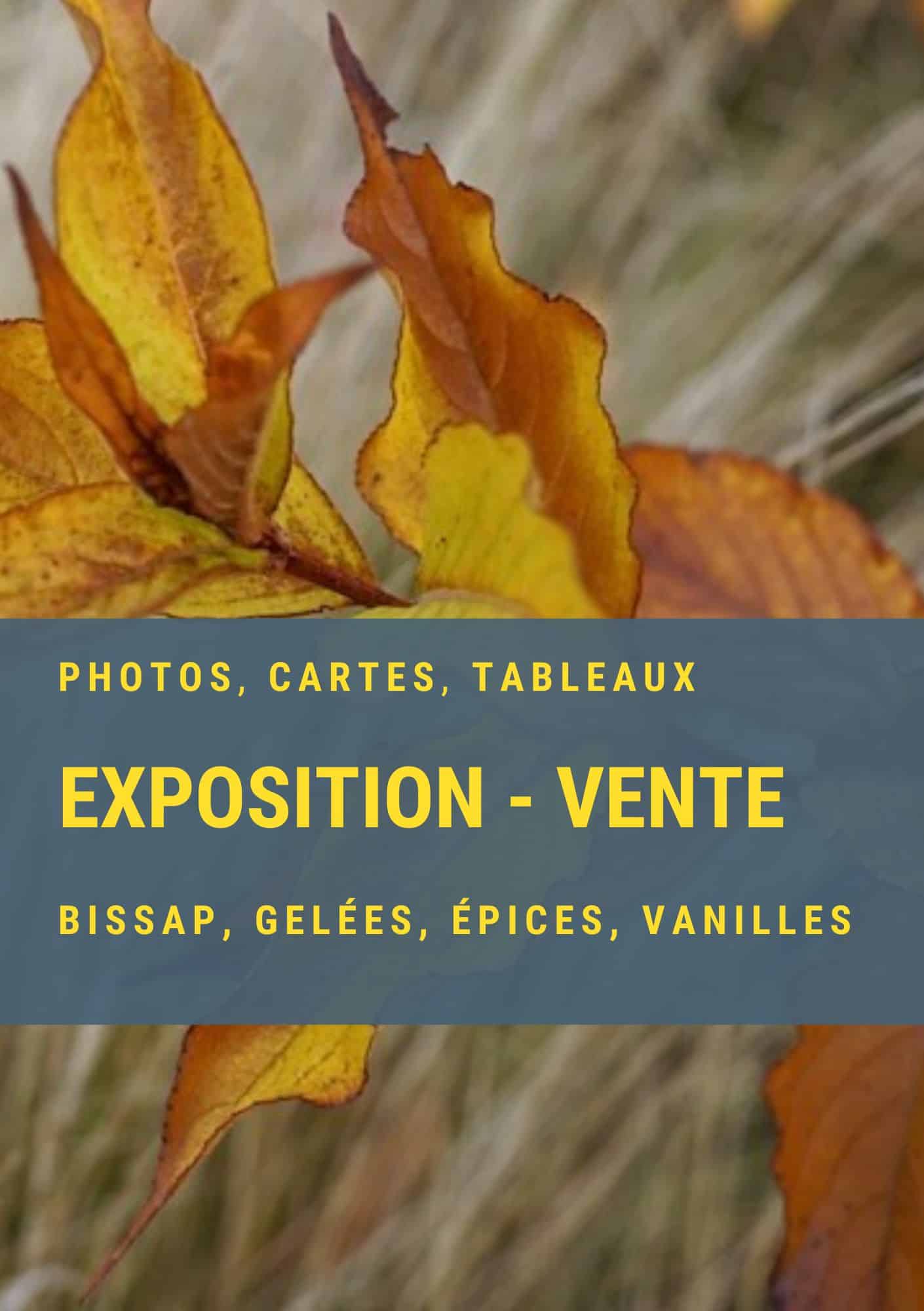 Lire la suite à propos de l’article Vernissage galerie d’Anière – Exposition chez Aded