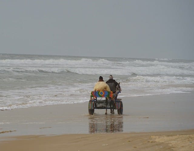 Senegal 22